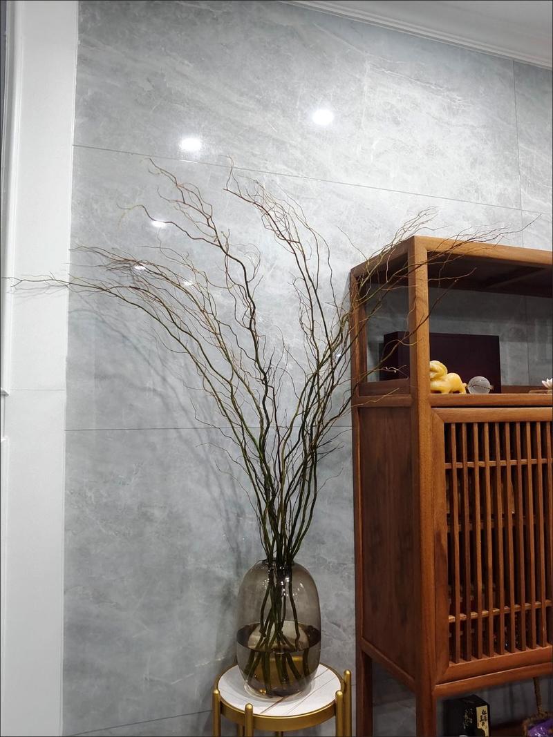 龙柳鲜枝插花客厅落地插水植物易活观叶水培长根家居装饰