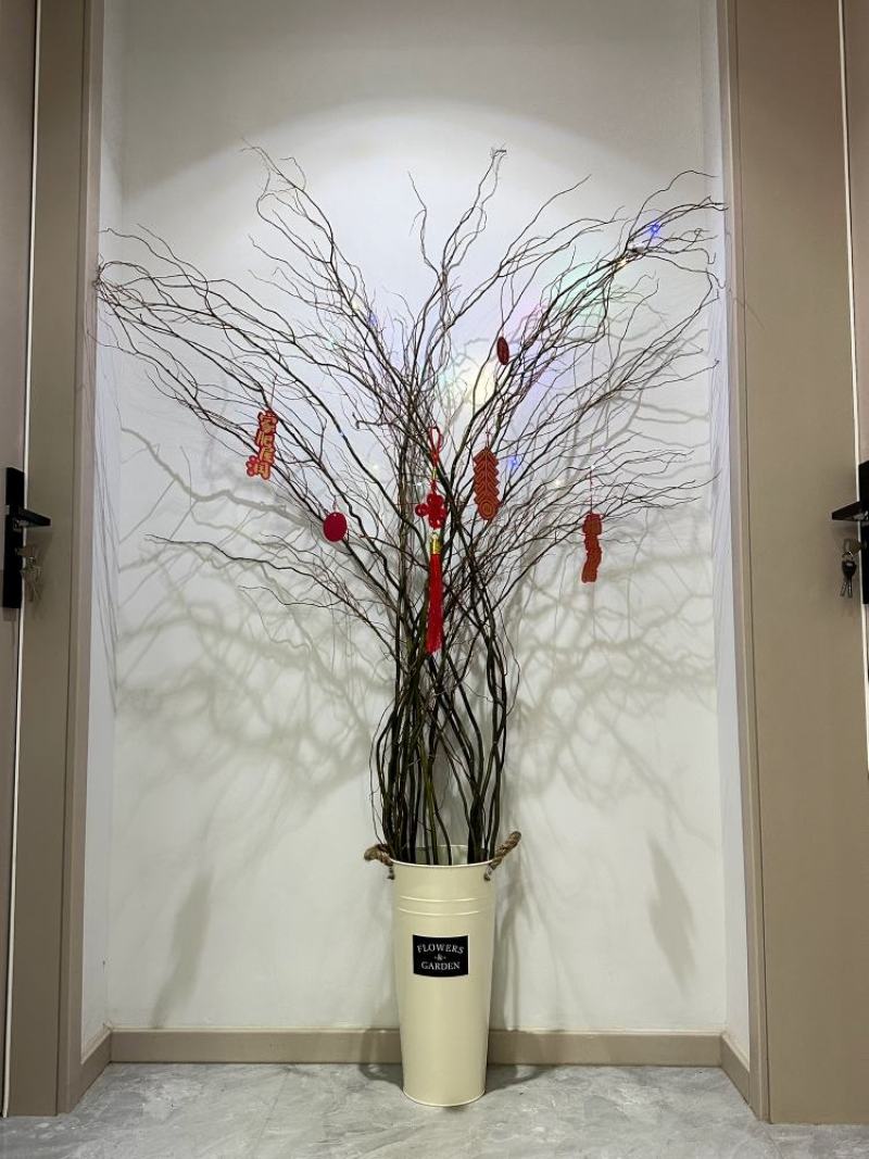 龙柳鲜枝插花客厅落地插水植物易活观叶水培长根家居装饰