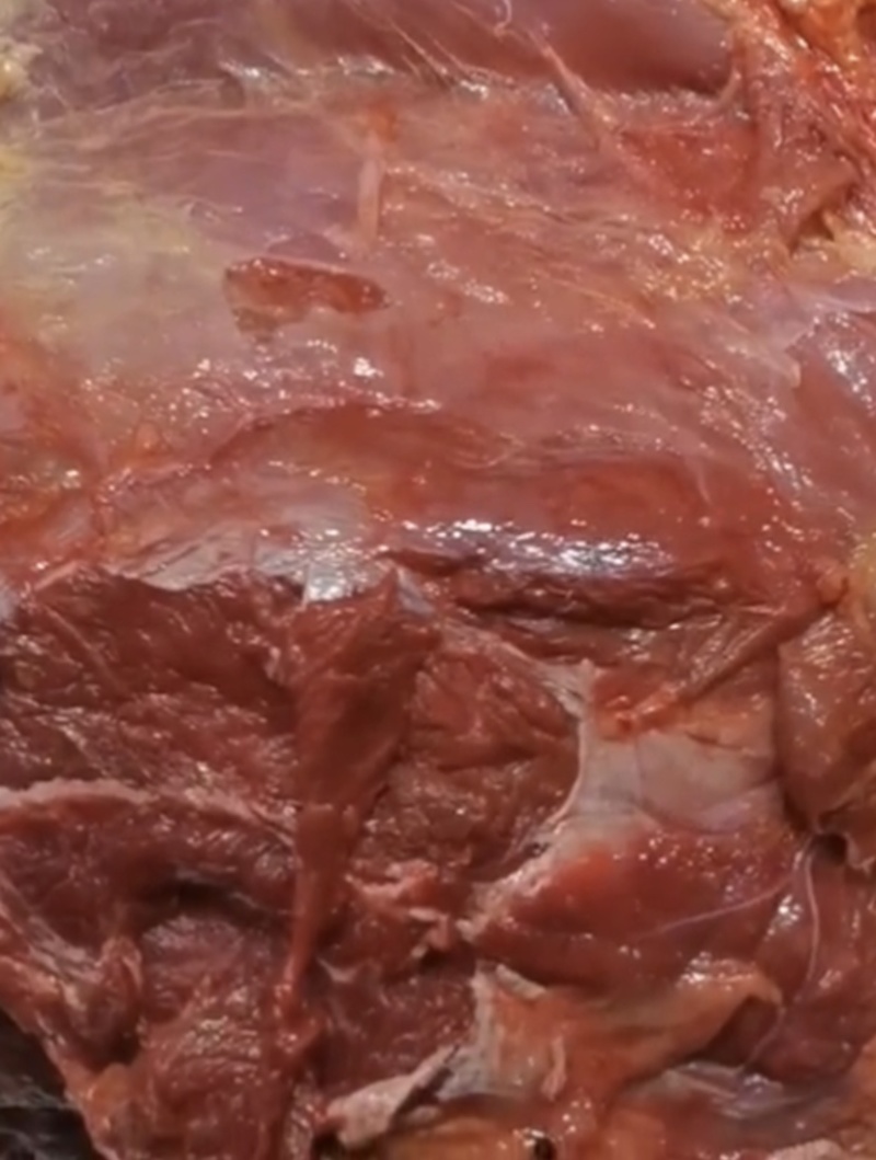 马肉新鲜马腿肉去皮去油不打水质量好证证件齐全，包邮