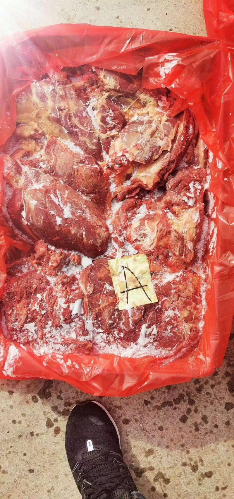 马肉新鲜马腿肉去皮去油不打水质量好证证件齐全，包邮