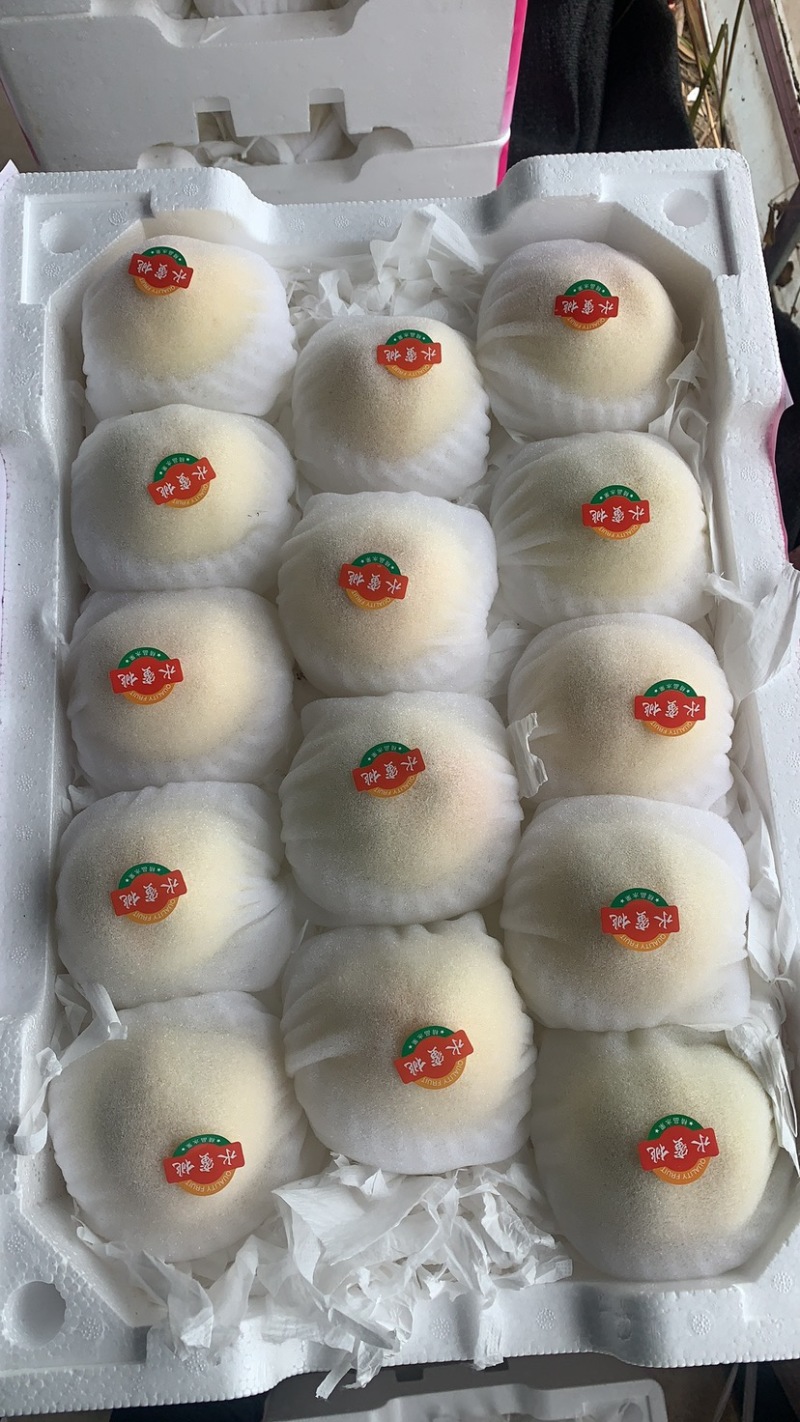 白桃白凤新沂水蜜桃产地直发，专业代办，批发，整车，空运