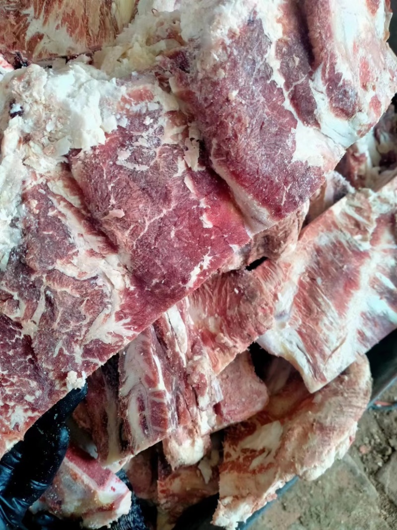 牛脊骨