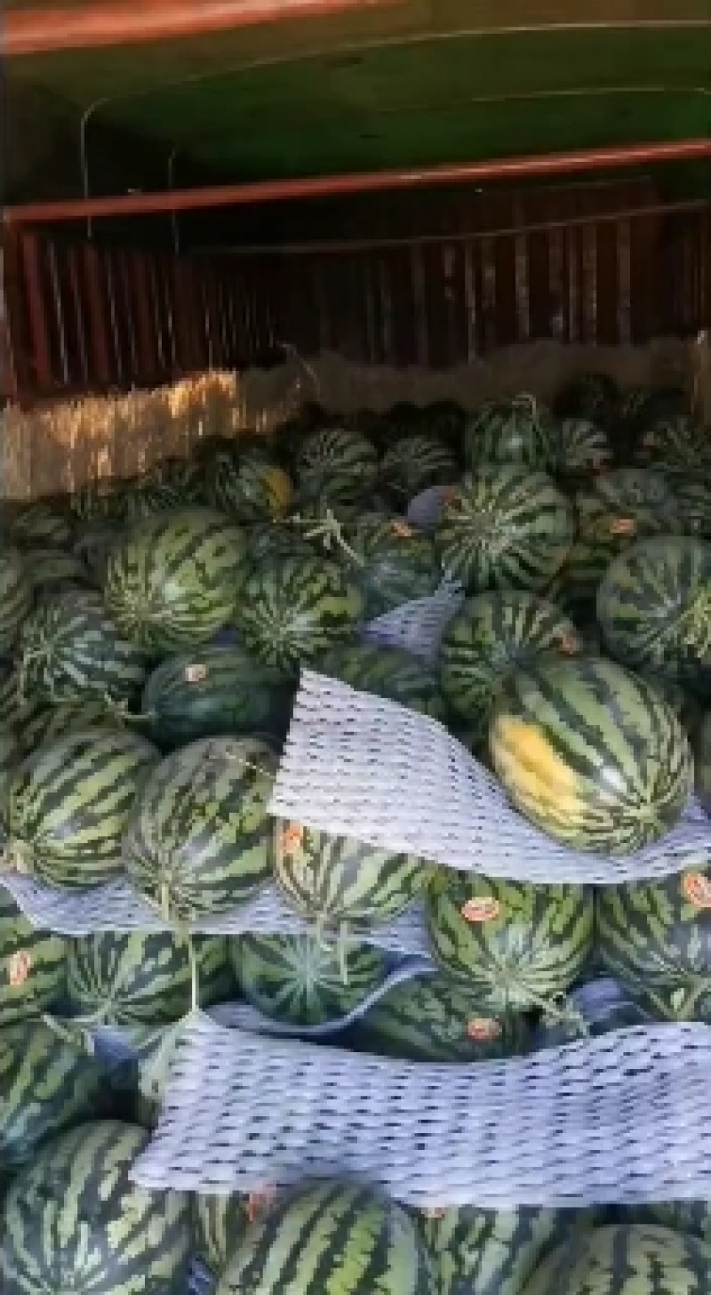 甜王西瓜