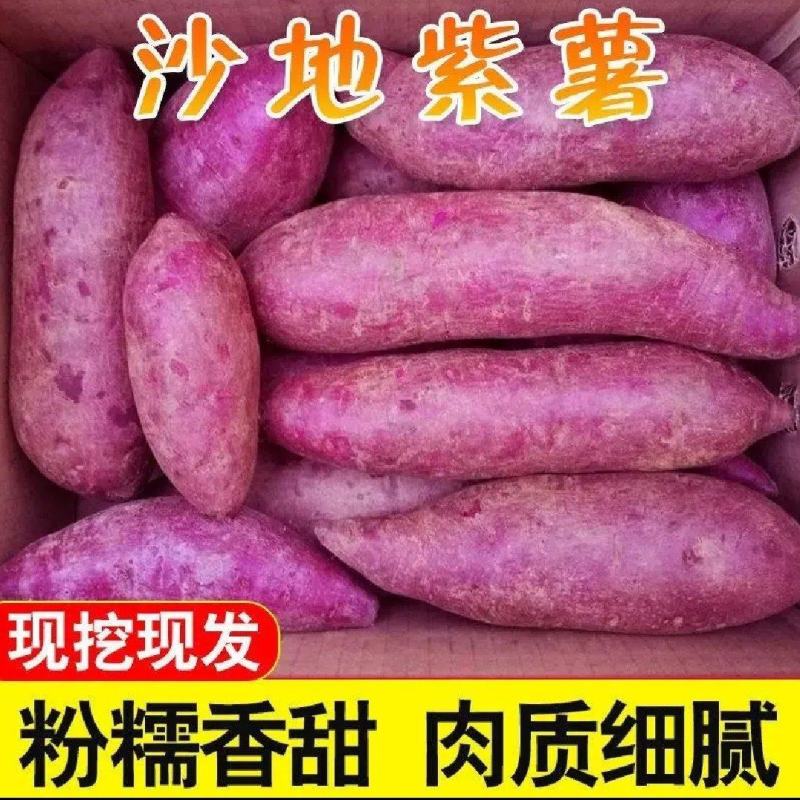 紫薯紫罗兰地瓜紫心红薯电商养殖场加工厂红薯淀粉厂