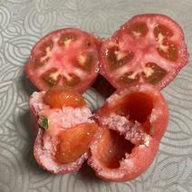 大果水果西红柿（莱喜568）以上市