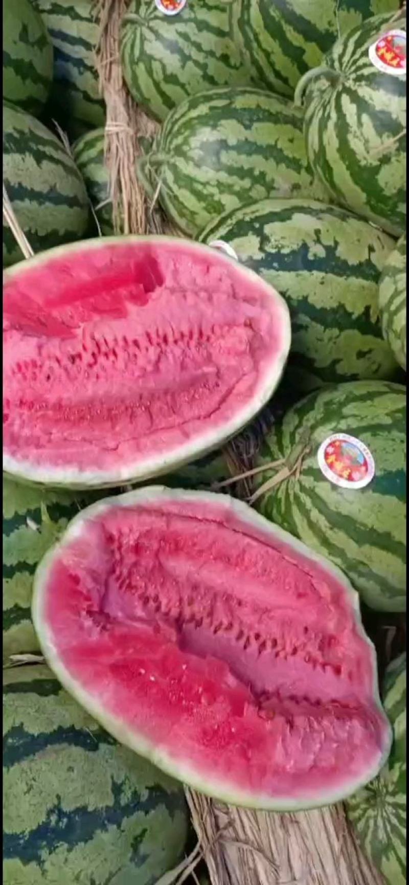 陕甘宁，，金花一号，皮毛漂亮瓜个大产地直销糖度13
