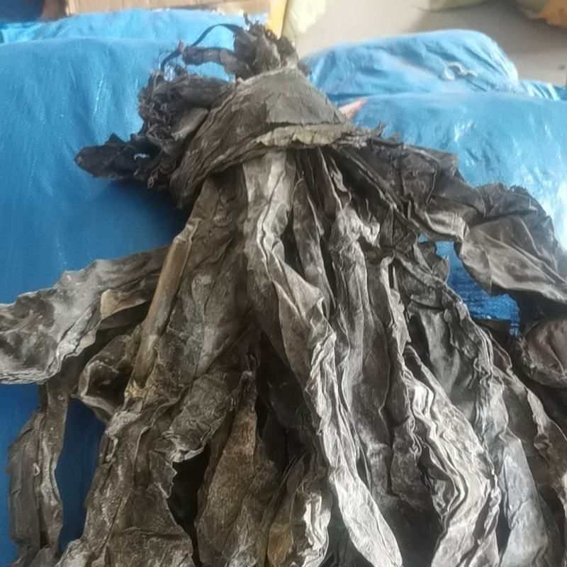好品质南海海带王一件20斤精品海带少沙少黄叶