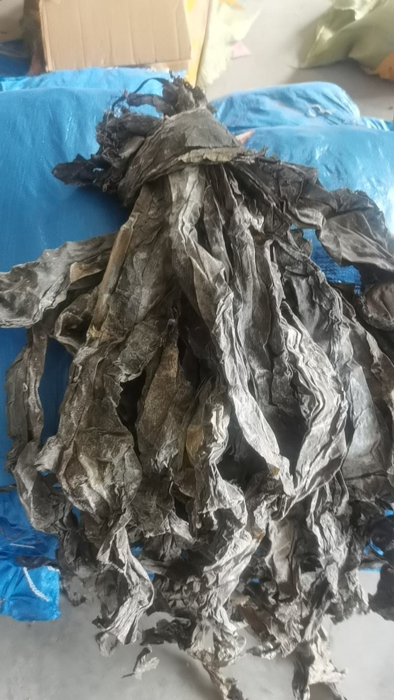 好品质南海海带王一件20斤精品海带少沙少黄叶
