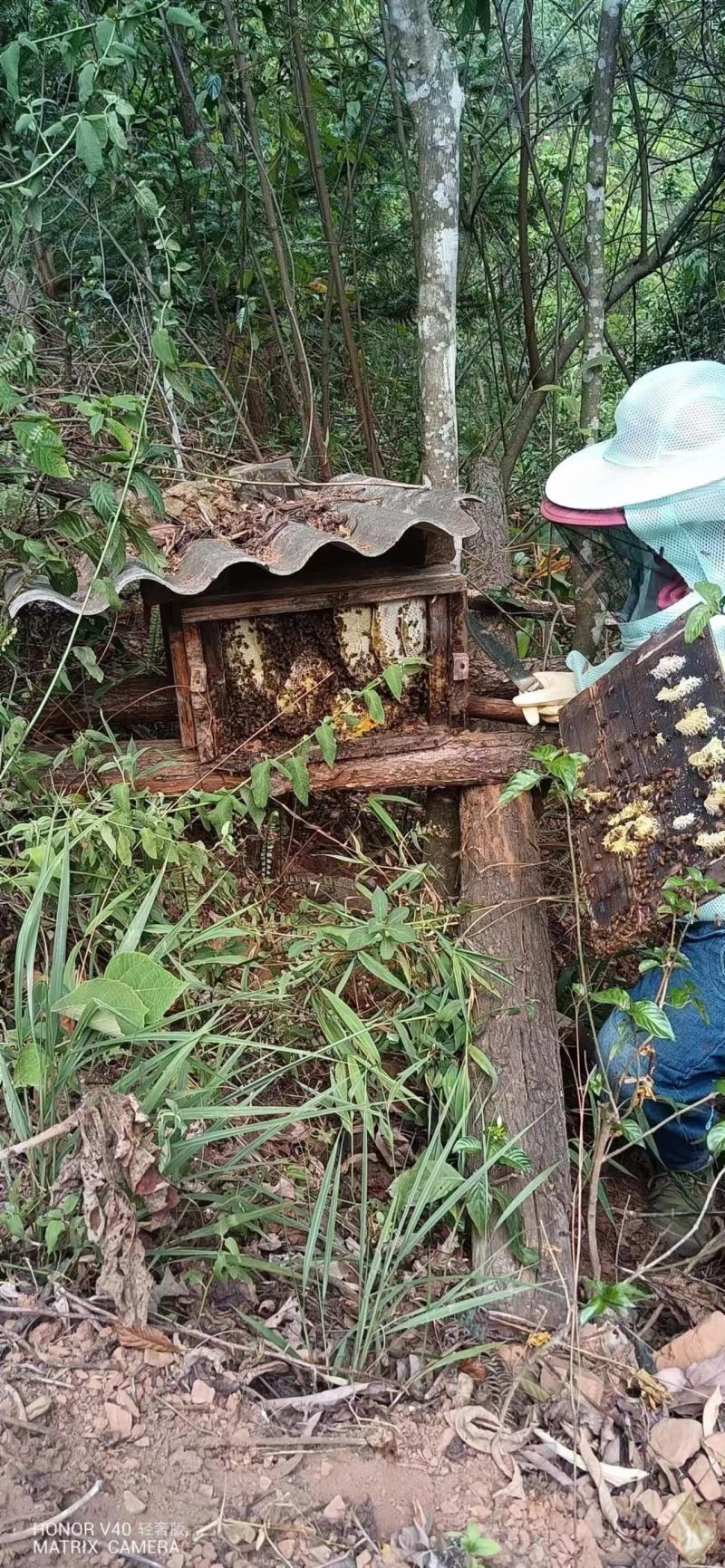 云南纯野生蜂蜜，保证无任何添加，假一赔百，