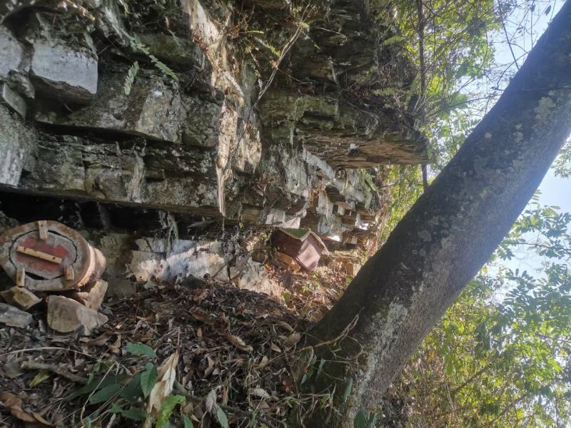云南纯野生蜂蜜，保证无任何添加，假一赔百，