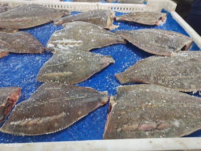 石浆鱼