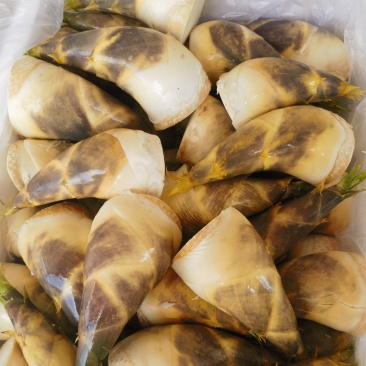 马蹄笋大量上市，价格下调。