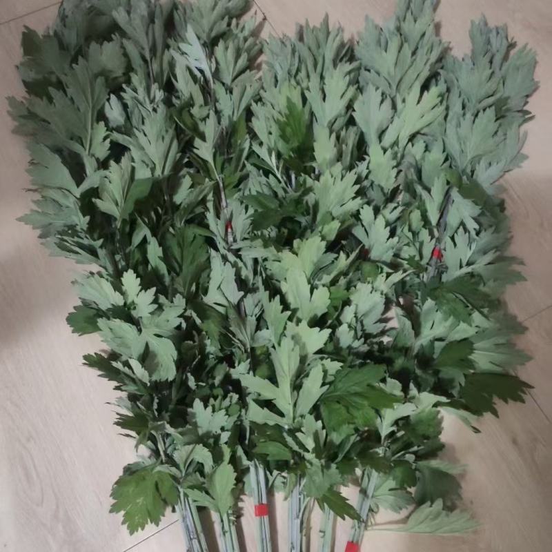 新鲜野生艾草！端午节供应全国各地，品质保证，可视频看货