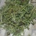 天然野生新鲜蕨菜！需要的老板电话联系宋姐。