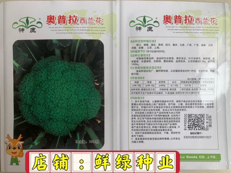 中熟绿花菜奥普拉西兰花色鲜绿品质优重约0.5kg
