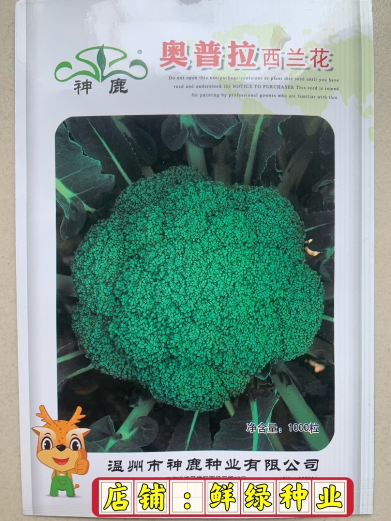 中熟绿花菜奥普拉西兰花色鲜绿品质优重约0.5kg