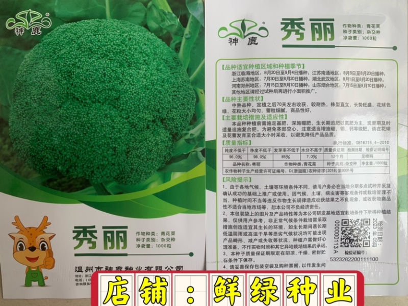 中熟绿花菜奥普拉西兰花色鲜绿品质优重约0.5kg