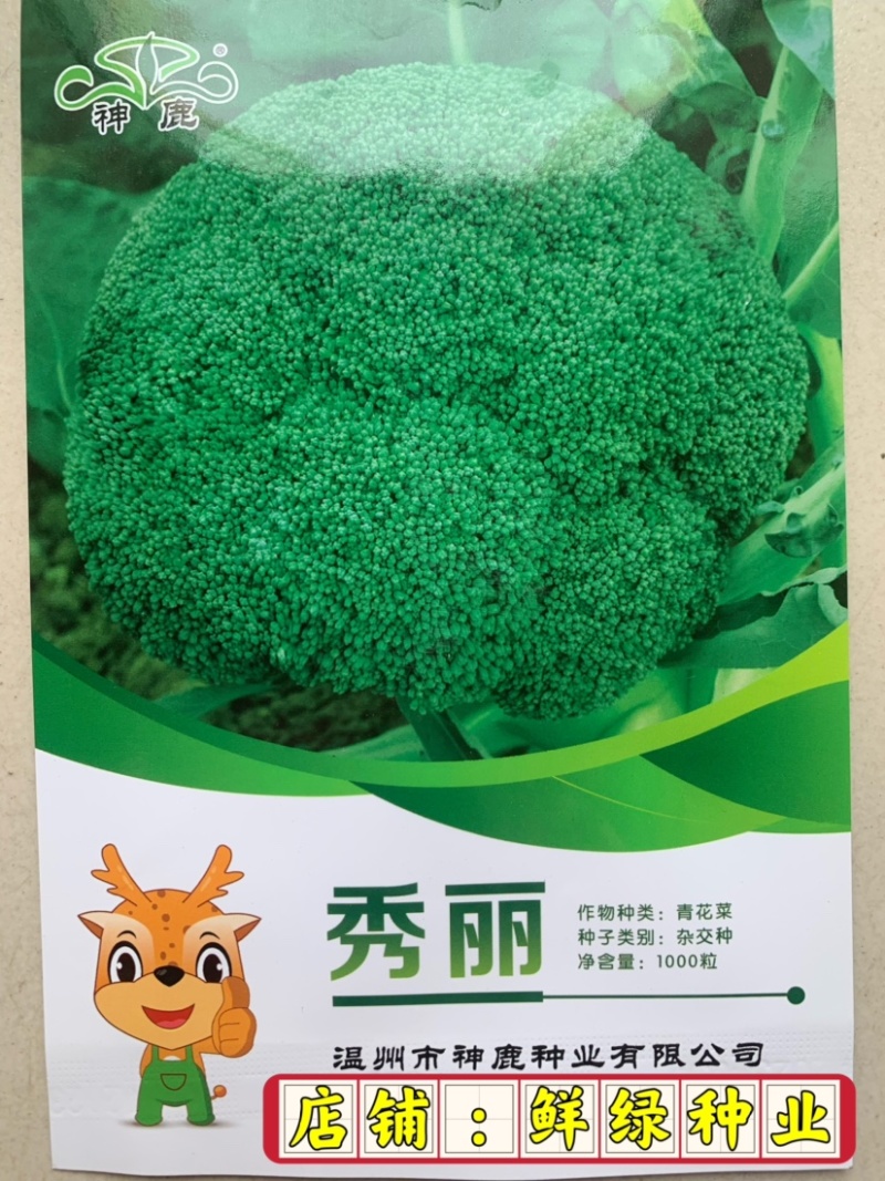 中熟绿花菜奥普拉西兰花色鲜绿品质优重约0.5kg