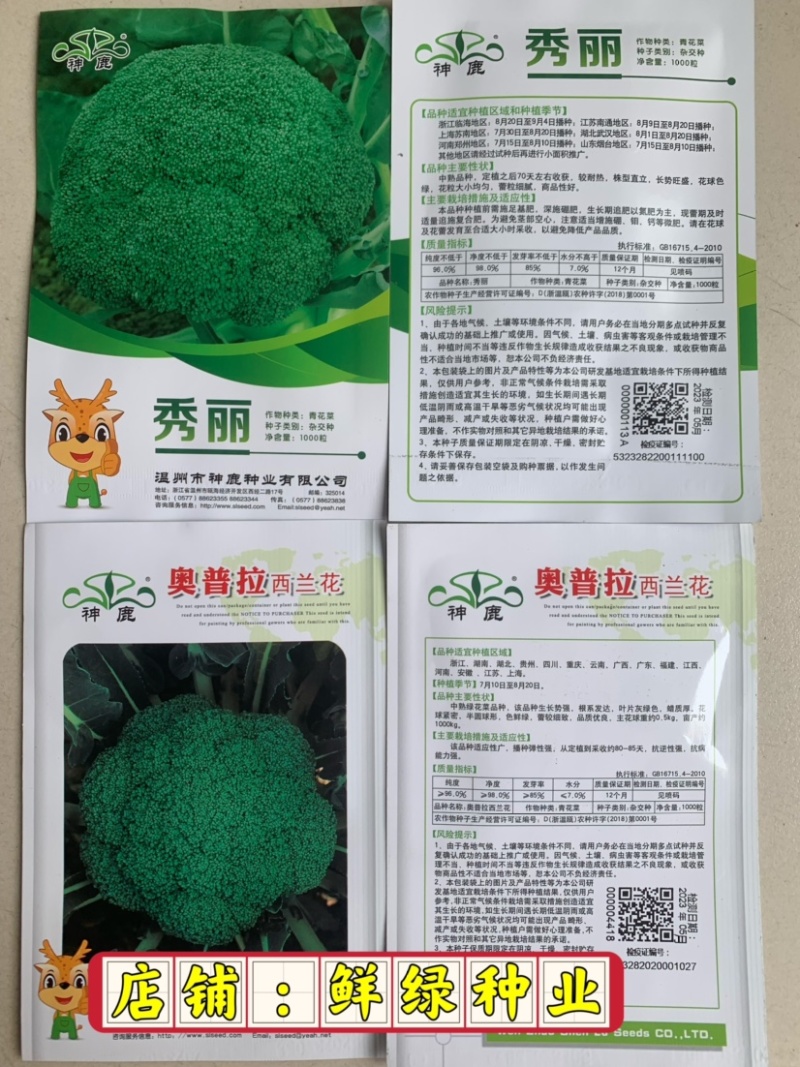 中熟绿花菜奥普拉西兰花色鲜绿品质优重约0.5kg