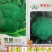 中熟绿花菜奥普拉西兰花色鲜绿品质优重约0.5kg
