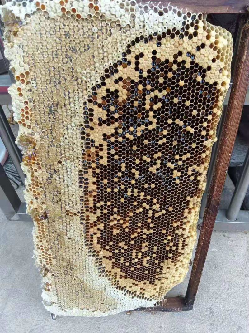 江西吉安深山蜂巢蜜野生纯正蜜巢天然农家自产成熟土蜂蜜