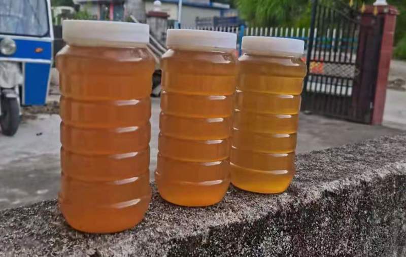 江西吉安深山蜂巢蜜野生纯正蜜巢天然农家自产成熟土蜂蜜