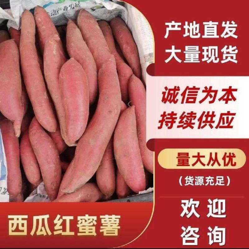 长条西瓜红红薯电商蜜薯打粉淀粉厂红薯加工厂养殖场