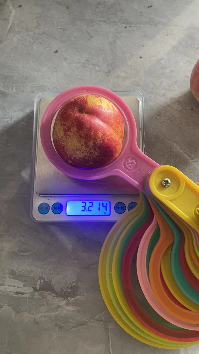 黄肉油桃一手货源，大量现货