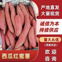 西瓜红红薯供电商红薯紫薯龙薯九号加工厂红薯地瓜