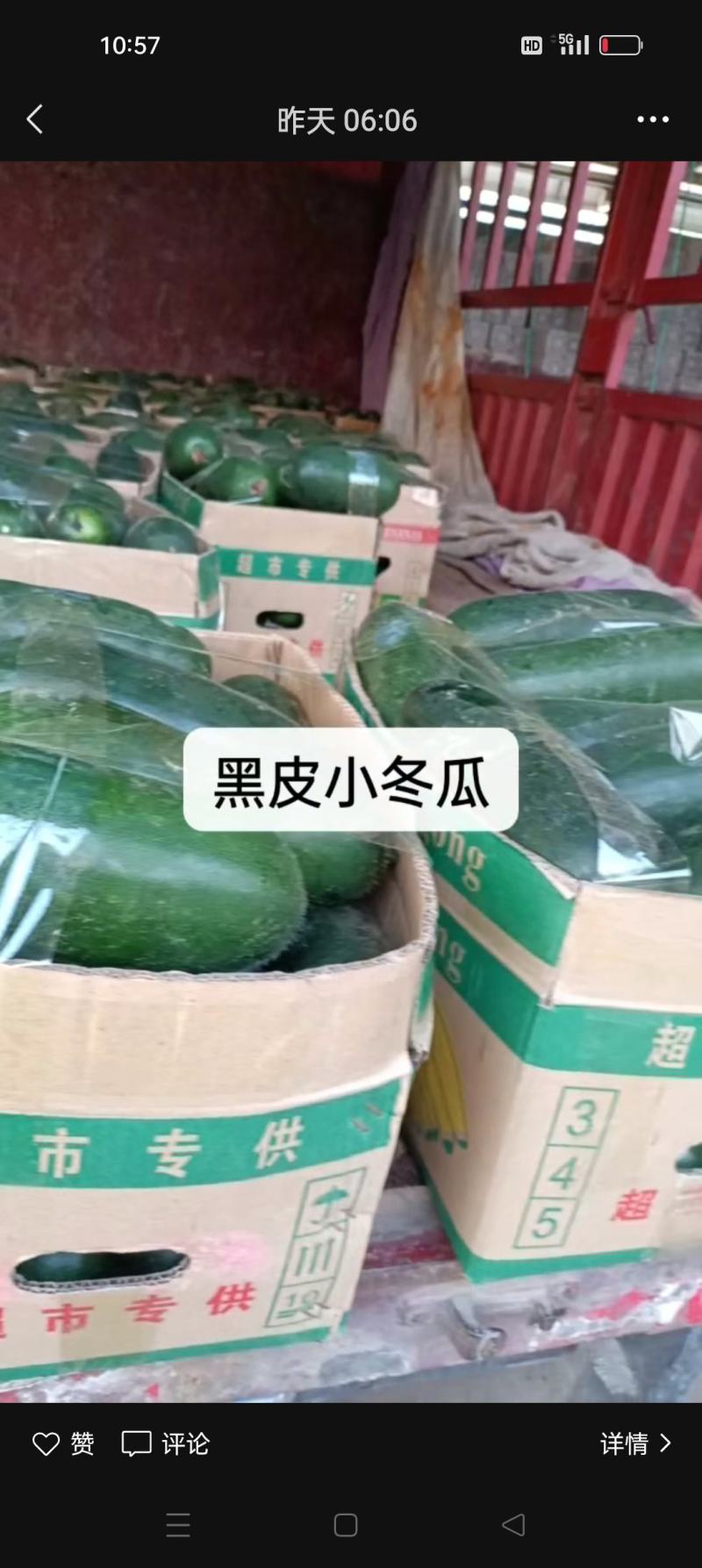 聊城小冬瓜