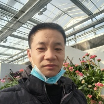 聊城小冬瓜