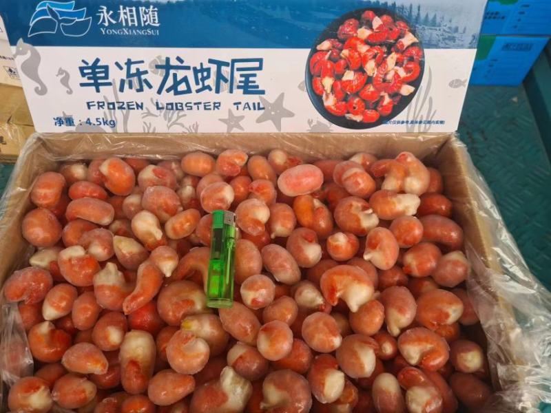 平头虾尾，一手货源，新鲜可见，量大从优