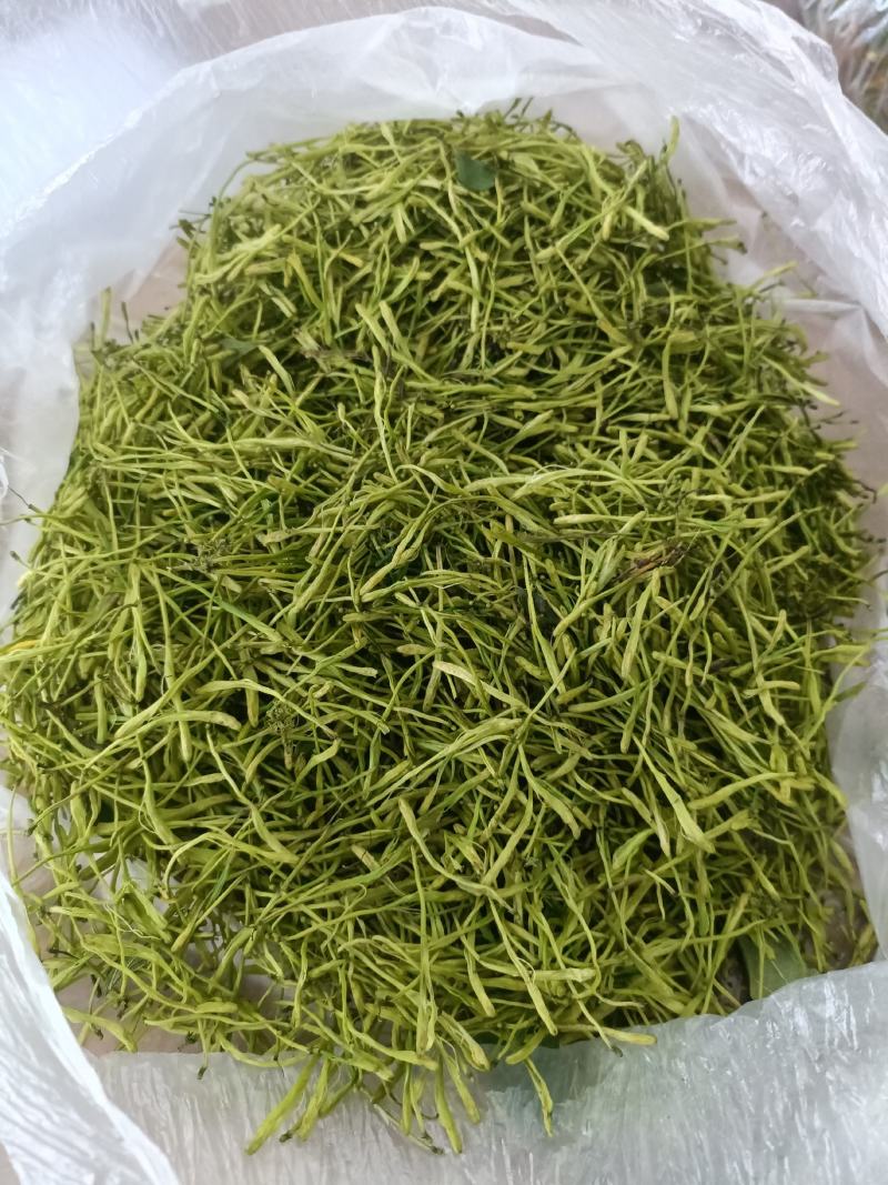 湘蕾山银花上新了，
