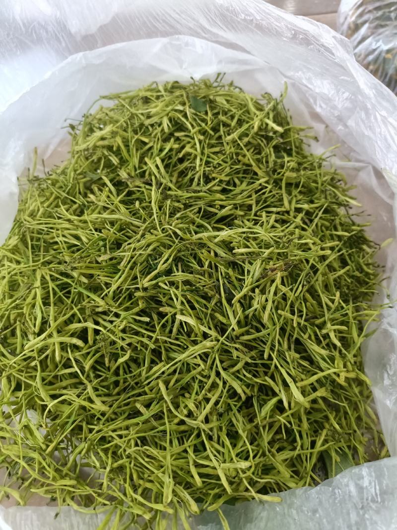 湘蕾山银花上新了，