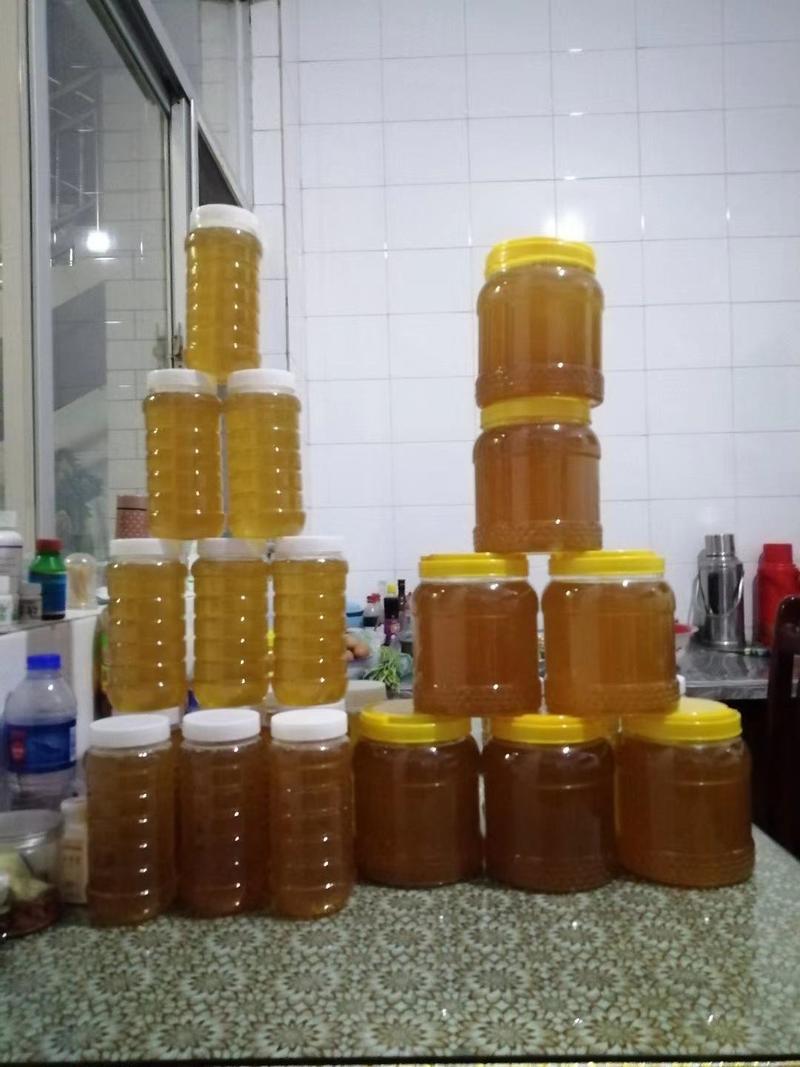 蜂蜜批发全国各地，枣花蜜和槐花蜜两种！现货供应