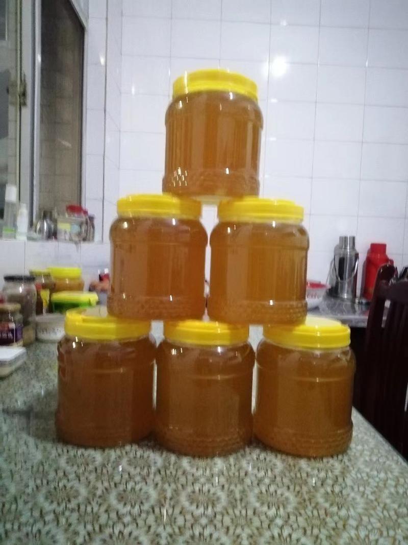 蜂蜜批发全国各地，枣花蜜和槐花蜜两种！现货供应