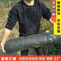 精品黑皮冬瓜吊冬瓜地冬瓜加工厂糖厂冬瓜电商冬瓜