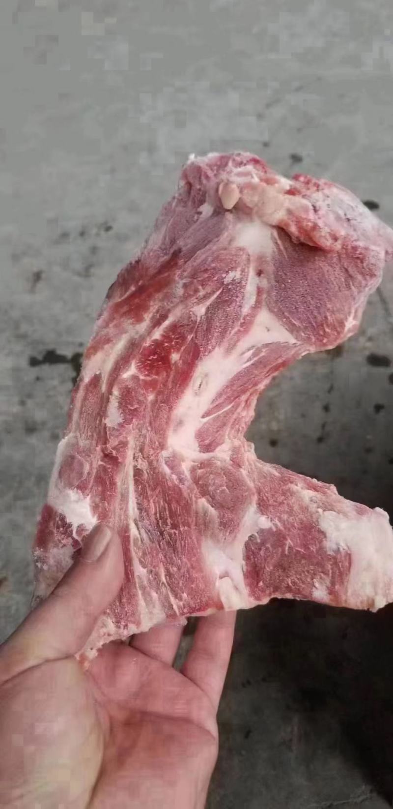 jbs颈骨