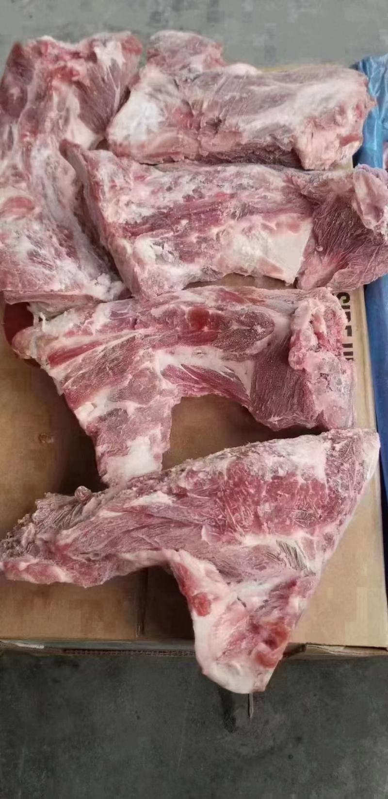 jbs颈骨