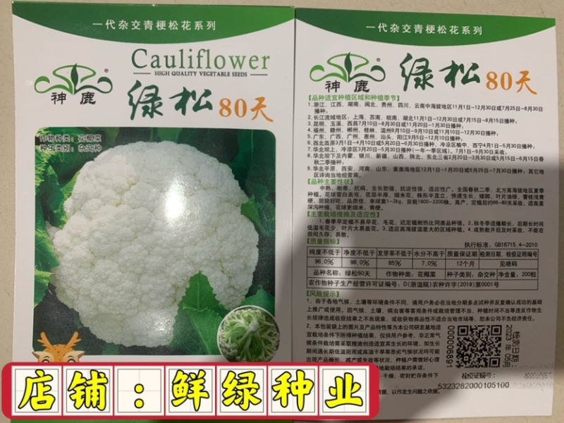 早中熟白菜花瑞雪特大80天白菜花种子单球重1.5kg