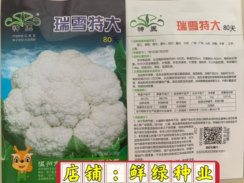 早中熟白菜花瑞雪特大80天白菜花种子单球重1.5kg