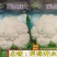 早中熟白菜花瑞雪特大80天白菜花种子单球重1.5kg