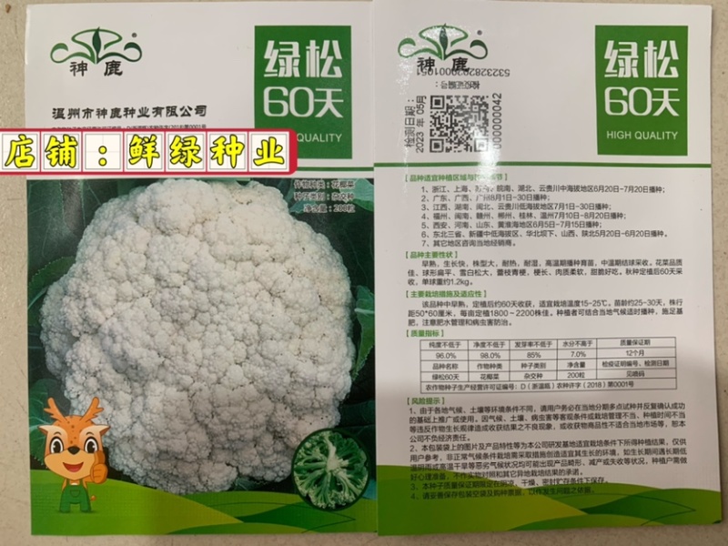 早中熟白菜花瑞雪特大80天白菜花种子单球重1.5kg