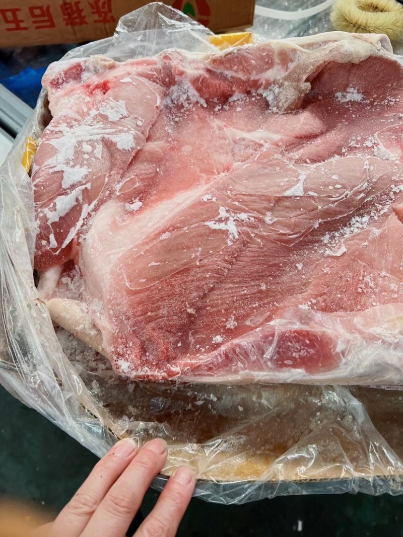 猪五花肉后五花前五花肉