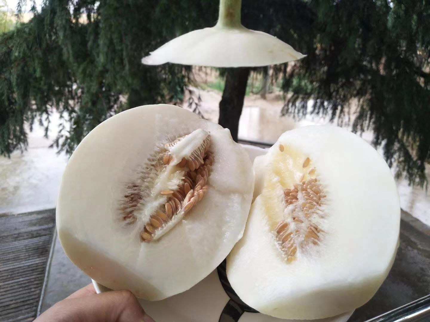 一颗新鲜的美八苹果被切开,露出乳白色果肉和对称的种子结构 苹果特写