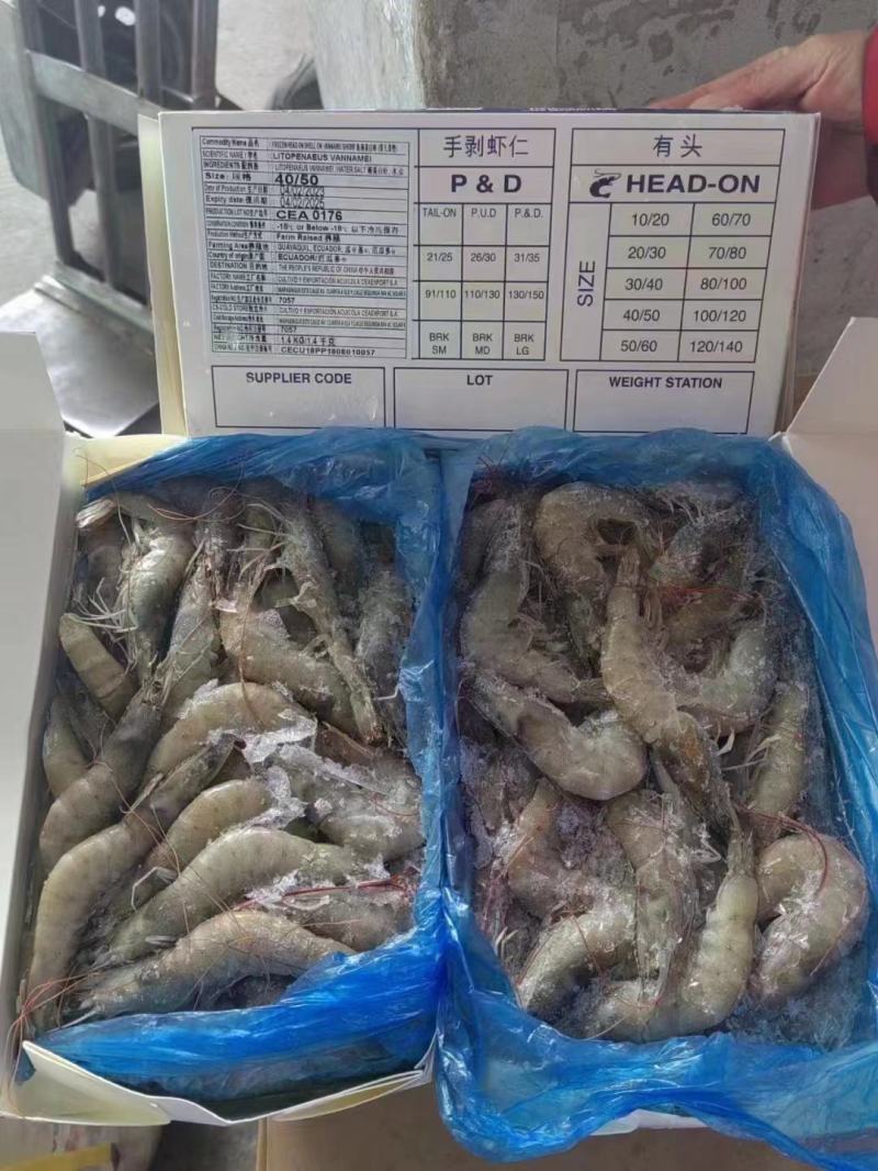 大虾