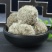 老店信誉产品雪莲花大朵新货无硫规格齐全诚信经营