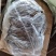 广西南宁精品牛百叶，厂家一手货源，货源充足稳定，量大从优