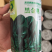 250克装半直大黑圆叶耐寒菠菜种叶片厚实高抗霜霉病品质好