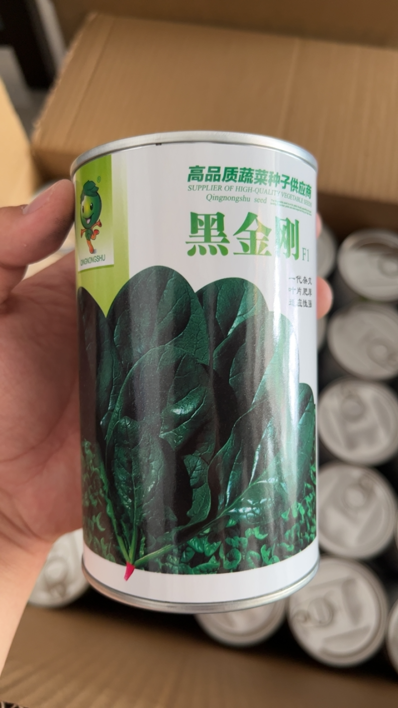 250克装半直大黑圆叶耐寒菠菜种叶片厚实高抗霜霉病品质好